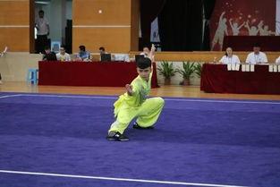 高考武术套路教学视频