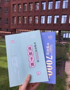 朱伟视频课,深度解析英语学习策略与技巧
