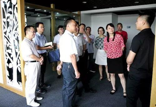 应城新闻视频,聚焦本地热点，展现发展新貌