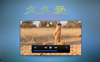 久久爱免最新免费视频,免费视频盛宴等你来享