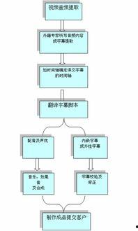视频听译报价,揭秘专业翻译服务的价格构成