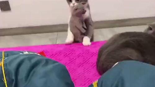 床叼视频,揭秘现代年轻人的生活状态与情感困惑