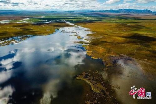 若尔盖视频,探寻高原湿地生态之美