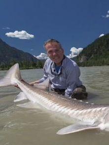 大网捕鱼视频,壮观场面背后的捕捞智慧