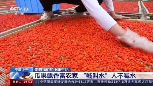 喊叫水视频,惊心动魄！喊叫水奇观揭秘