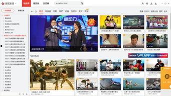 搜狐搜狐视频,打造多元化娱乐平台，引领网络视听新潮流