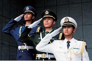 敬礼的动作要领视频,规范礼仪，展现军人风采